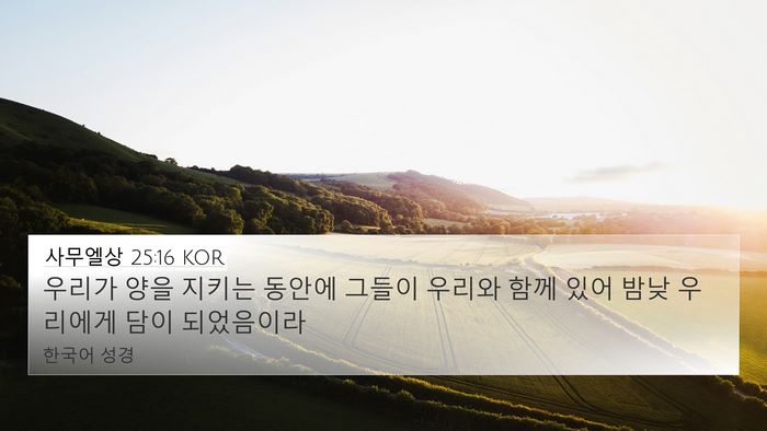 사무엘상 25:16 KOR Bible Verse Image