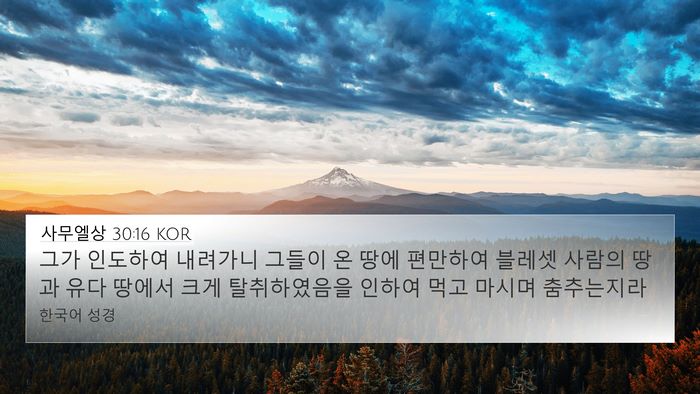 사무엘상 30:16 KOR Bible Verse Image