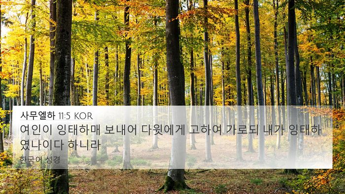 사무엘하 11:5 KOR 4K Wallpaper - 여인이 잉태하매 보내어 다윗에게 - 4K Wallpaper Bible Verse