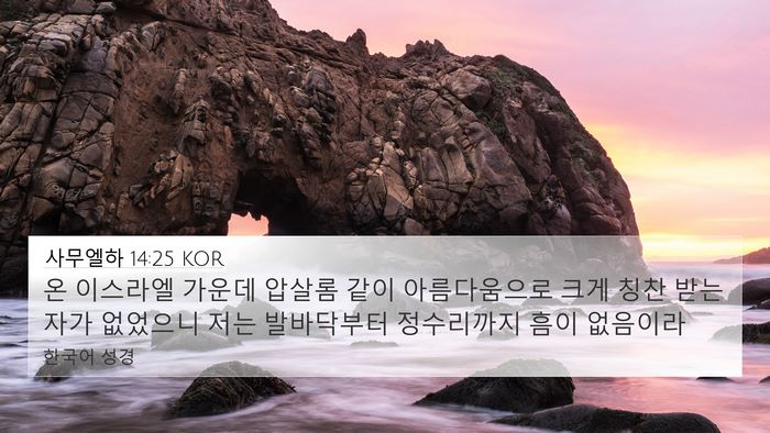 사무엘하 14:25 KOR Bible Verse Image