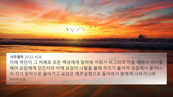 사무엘하 20:22 KOR Bible Verse Image