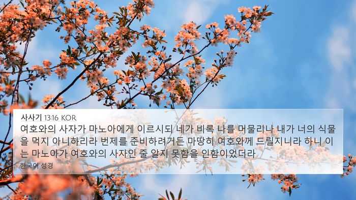 사사기 13:16 KOR 4K Wallpaper - 여호와의 사자가 마노아에게 - 4K Wallpaper Bible Verse