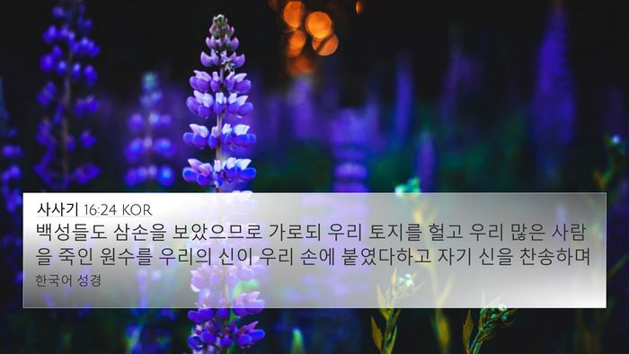 사사기 16:24 KOR 4K Wallpaper - 백성들도 삼손을 보았으므로 가로되 - 4K Wallpaper Bible Verse