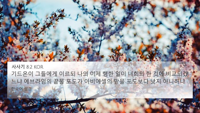 사사기 8:2 KOR Bible Verse Image