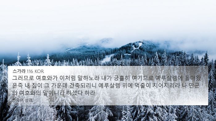 스가랴 1:16 KOR Bible Verse Image