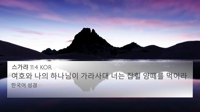 스가랴 11:4 KOR Bible Verse Image