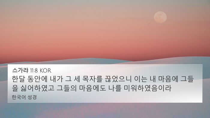 스가랴 11:8 KOR Bible Verse Image