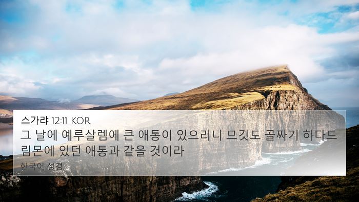 스가랴 12:11 KOR Bible Verse Image