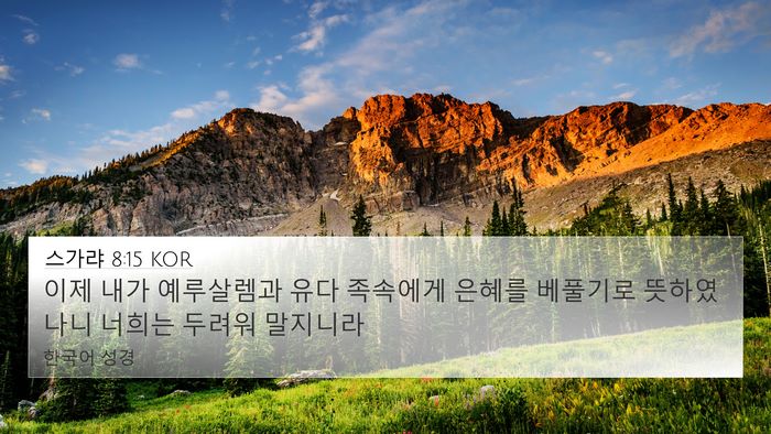 스가랴 8:15 KOR Bible Verse Image