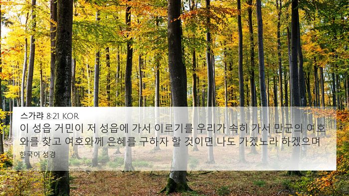 스가랴 8:21 KOR Bible Verse Image