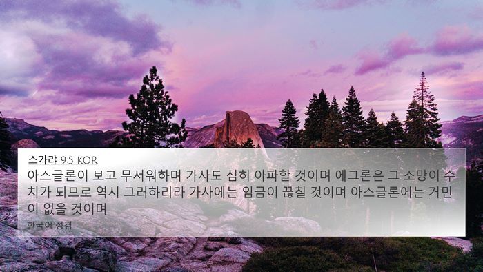 스가랴 9:5 KOR Bible Verse Image