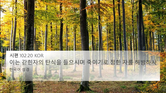 시편 102:20 KOR Bible Verse Image