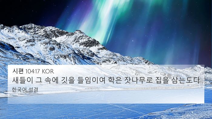 시편 104:17 KOR Bible Verse Image