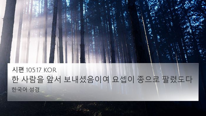 시편 105:17 KOR Bible Verse Image
