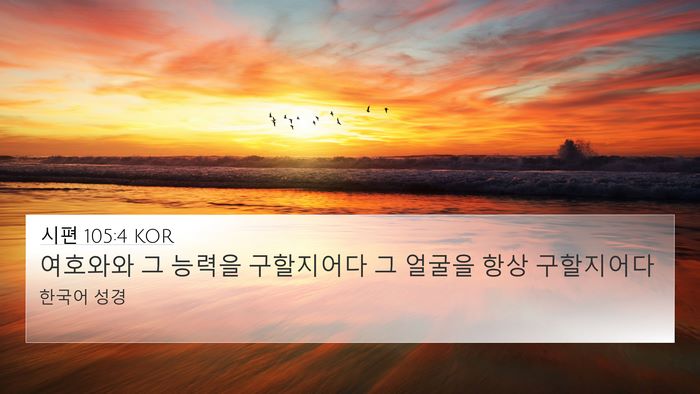 시편 105:4 KOR Bible Verse Image