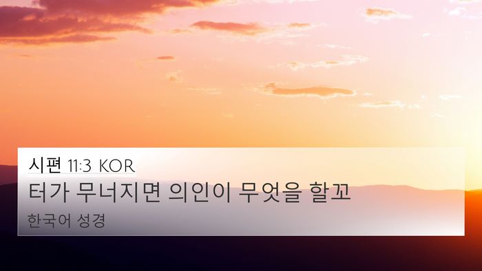 시편 11:3 KOR Bible Verse Image