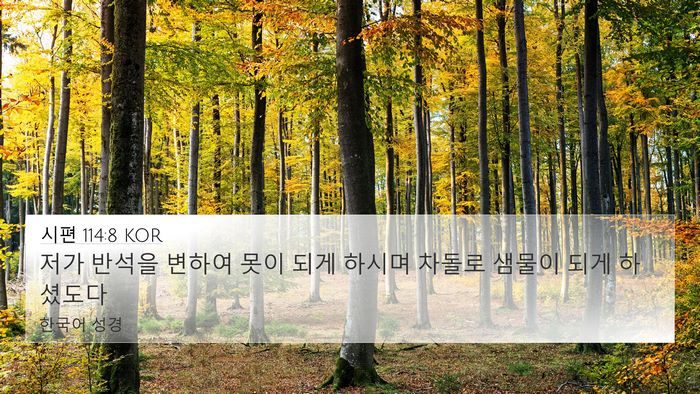 시편 114:8 KOR Bible Verse Image