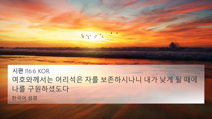 시편 116:6 KOR 4K Wallpaper - 여호와께서는 어리석은 자를 - 4K Wallpaper Bible Verse