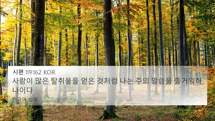 시편 119:162 KOR Bible Verse Image