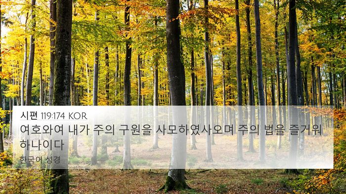 시편 119:174 KOR Bible Verse Image