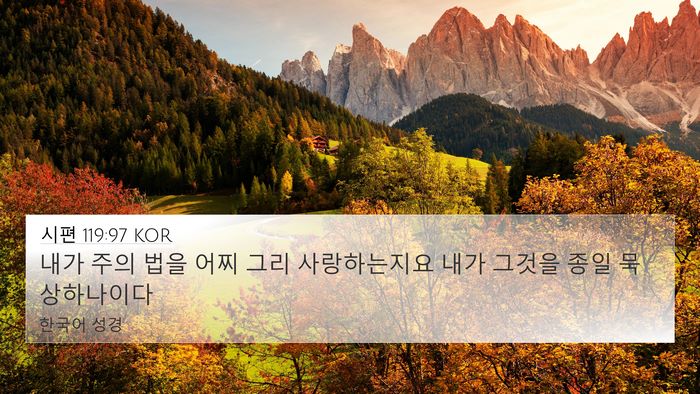 시편 119:97 KOR Bible Verse Image