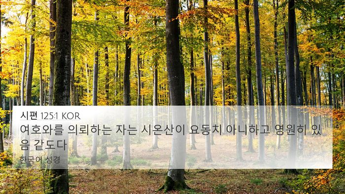 시편 125:1 KOR Bible Verse Image