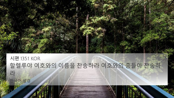 시편 135:1 KOR Bible Verse Image