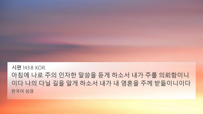 시편 143:8 KOR Bible Verse Image