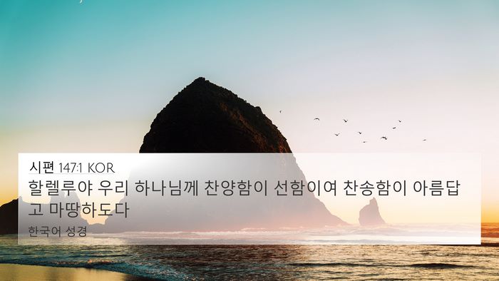 시편 147:1 KOR Bible Verse Image