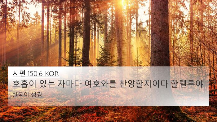 시편 150:6 KOR Bible Verse Image