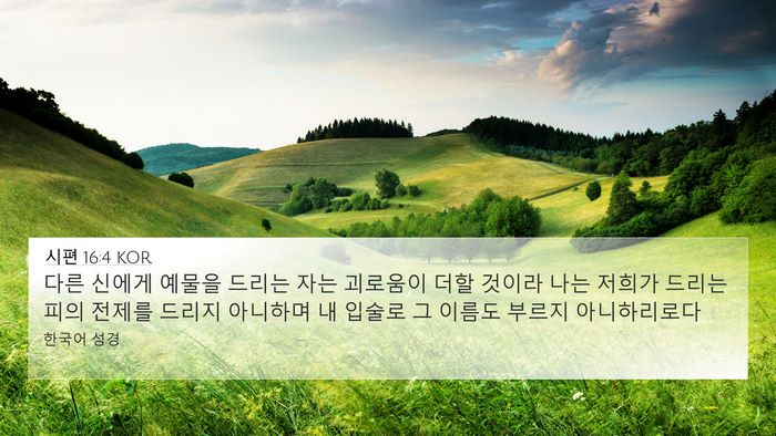 시편 16:4 KOR Bible Verse Image