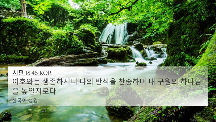 시편 18:46 KOR Bible Verse Image