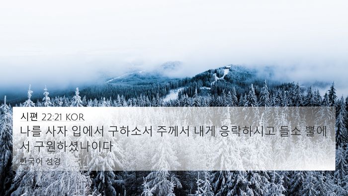 시편 22:21 KOR 4K Wallpaper - 나를 사자 입에서 구하소서 주께서 - 4K Wallpaper Bible Verse