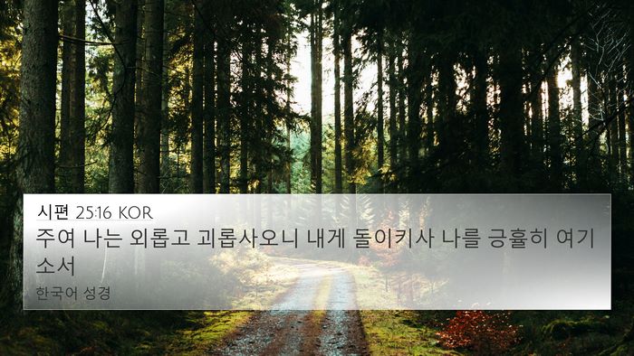시편 25:16 KOR Bible Verse Image