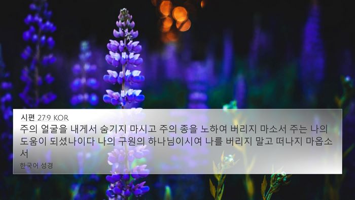 시편 27:9 KOR Bible Verse Image