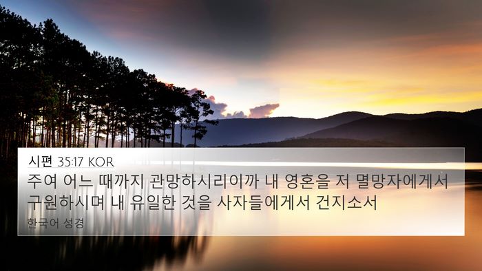 시편 35:17 KOR Bible Verse Image