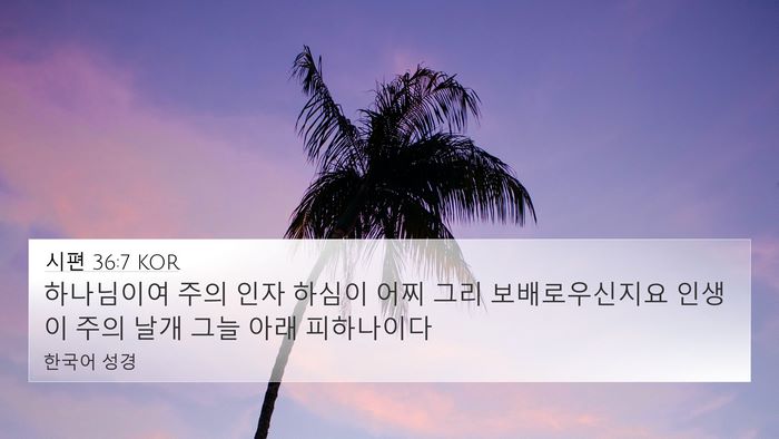 시편 36:7 KOR Bible Verse Image