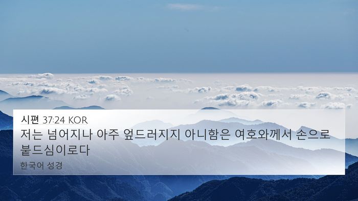 시편 37:24 KOR Bible Verse Image