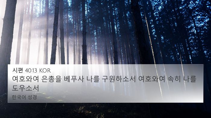 시편 40:13 KOR Bible Verse Image