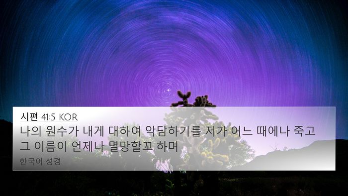 시편 41:5 KOR 4K Wallpaper - 나의 원수가 내게 대하여 악담하기를 - 4K Wallpaper Bible Verse