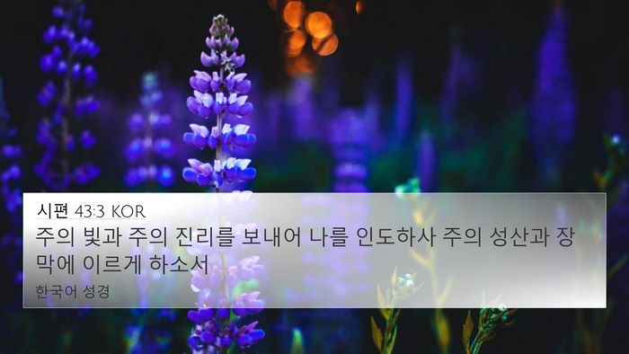 시편 43:3 KOR Bible Verse Image