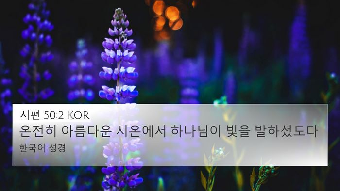 시편 50:2 KOR Bible Verse Image