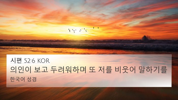 시편 52:6 KOR Bible Verse Image