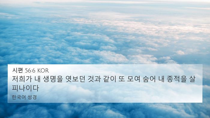 시편 56:6 KOR Bible Verse Image