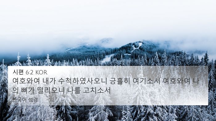 시편 6:2 KOR Bible Verse Image
