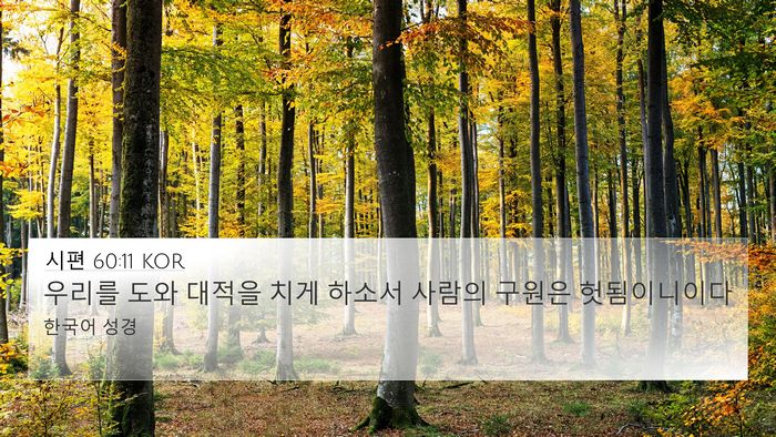 시편 60:11 KOR Bible Verse Image