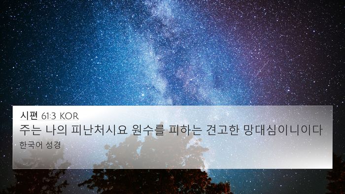 시편 61:3 KOR 4K Wallpaper - 주는 나의 피난처시요 원수를 피하는 - 4K Wallpaper Bible Verse