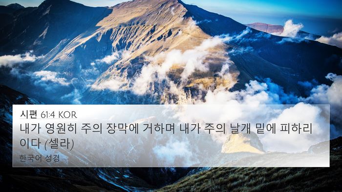 시편 61:4 KOR Bible Verse Image