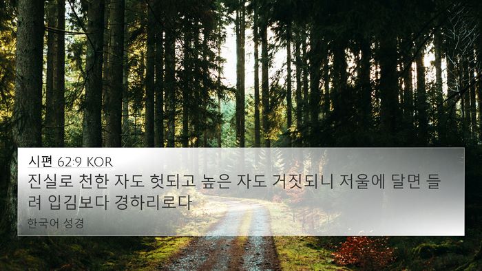 시편 62:9 KOR Bible Verse Image