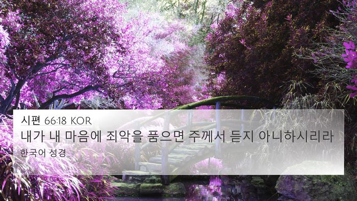 시편 66:18 KOR Bible Verse Image
